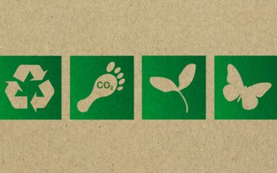 ecoetiquetas