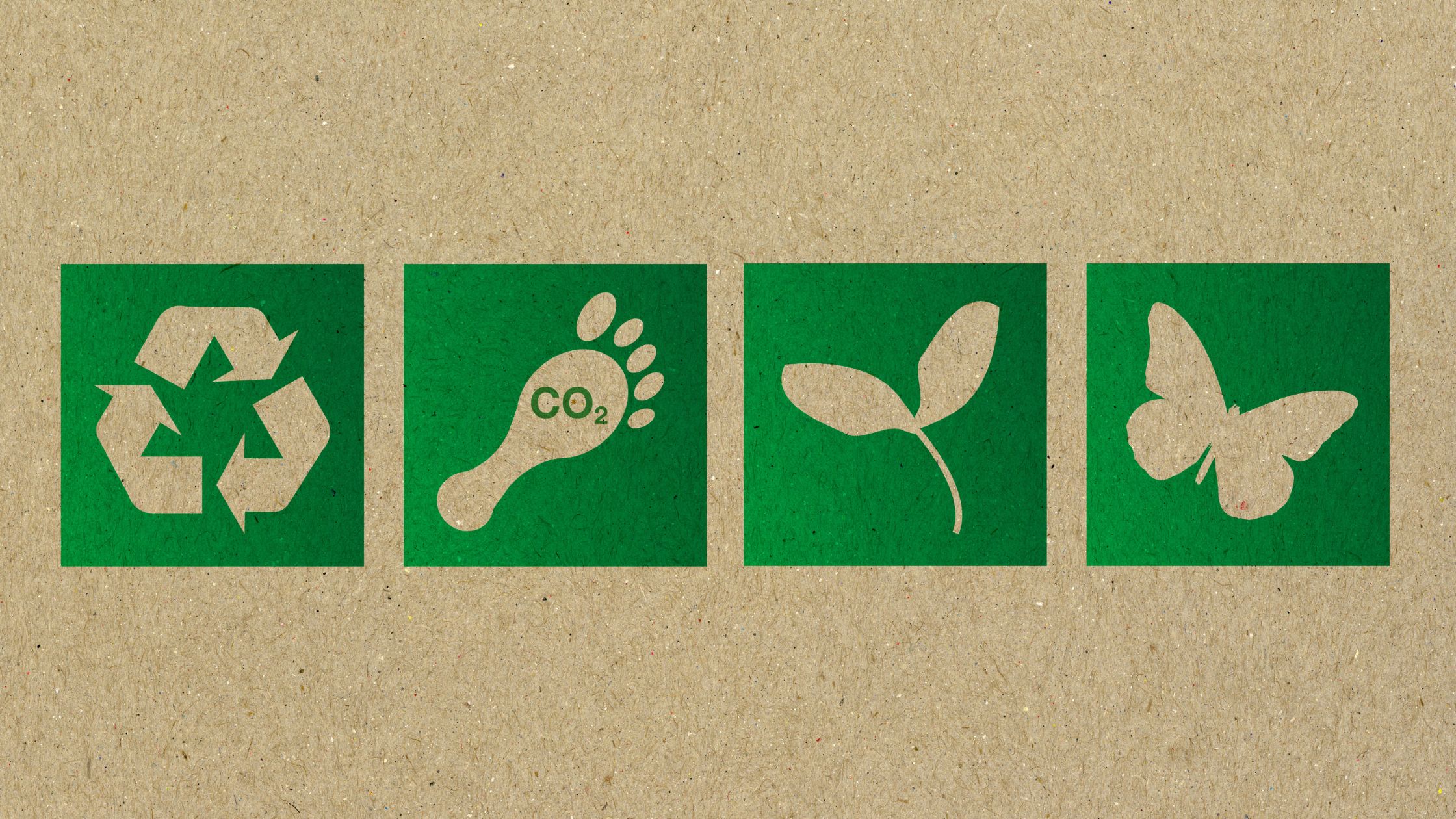 ecoetiquetas